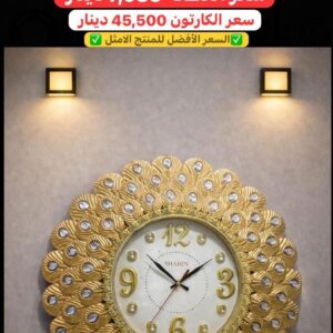 WhatsApp Image 2026-01-28 at 10.55.29 PM