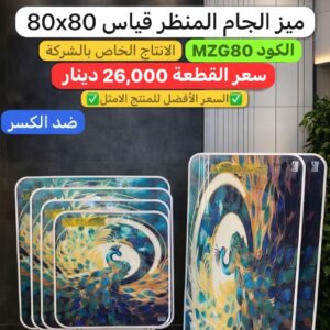 WhatsApp Image 2026-02-11 at 10.36.44 PM