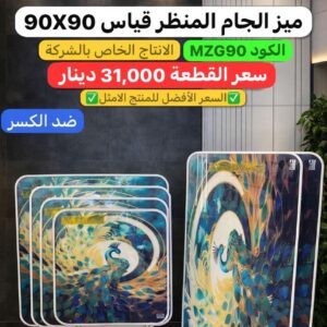 WhatsApp Image 2026-02-11 at 10.36.46 PM