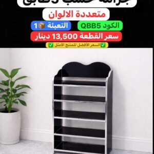 WhatsApp Image 2026-02-17 at 11.01.21 PM