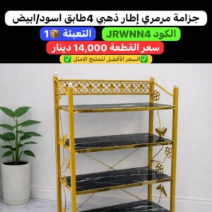 WhatsApp Image 2026-02-17 at 11.01.32 PM