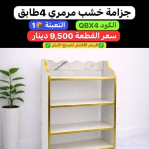 WhatsApp Image 2026-02-17 at 11.01.36 PM