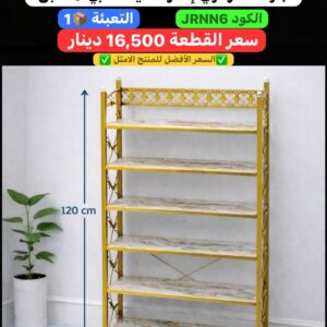 WhatsApp Image 2026-02-17 at 11.01.58 PM