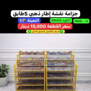 WhatsApp Image 2026-02-17 at 11.02.31 PM