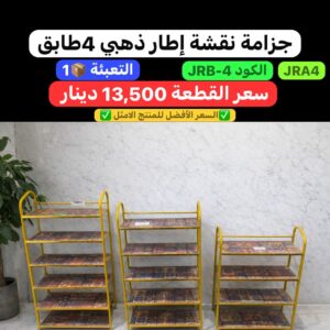 WhatsApp Image 2026-02-17 at 11.02.44 PM