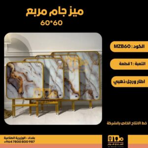 WhatsApp Image 2026-02-19 at 11.28.13 AM2