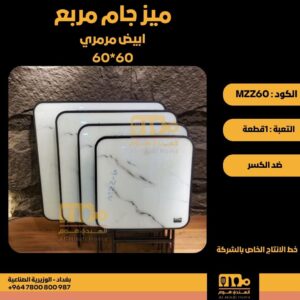 WhatsApp Image 2026-02-19 at 11.28.13 AM3